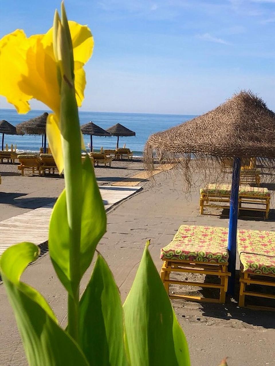 Spacious 1 Bedroom Apartment, Beach Front, Torrox Costa 外观 照片